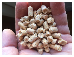summer Time pellets