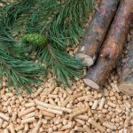 Softwood pellets
