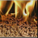 Summer Time Pellets