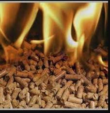 LG Granules