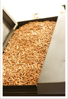 summer time pellets