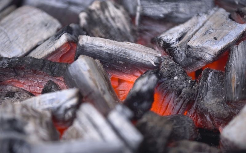 Pit Boss Wood Pellet Grill: Ultimate BBQ and Smoking Experience