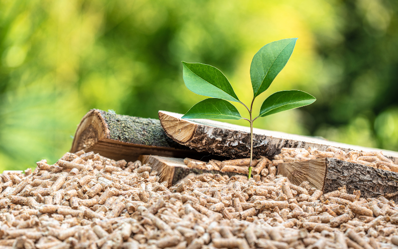 Wood Pellets: A Sustainable Solution for Heating and Beyond