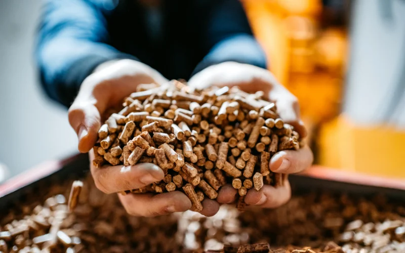 How Are Wood Pellets Made