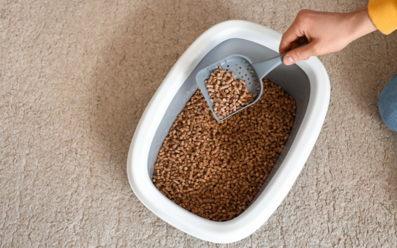 Wood Pellet Cat Litter Pros and Cons: Perfect Pick for Your Cat!
