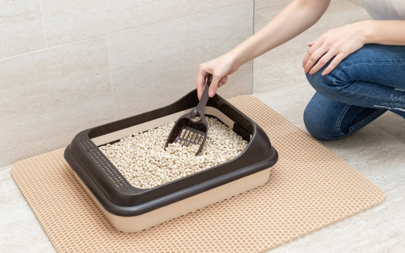 How Long Does Wood Pellet Cat Litter Last?
