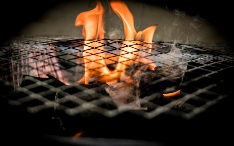 Pit Boss vs Traeger: Which Grill/Smoker Is Right For You?