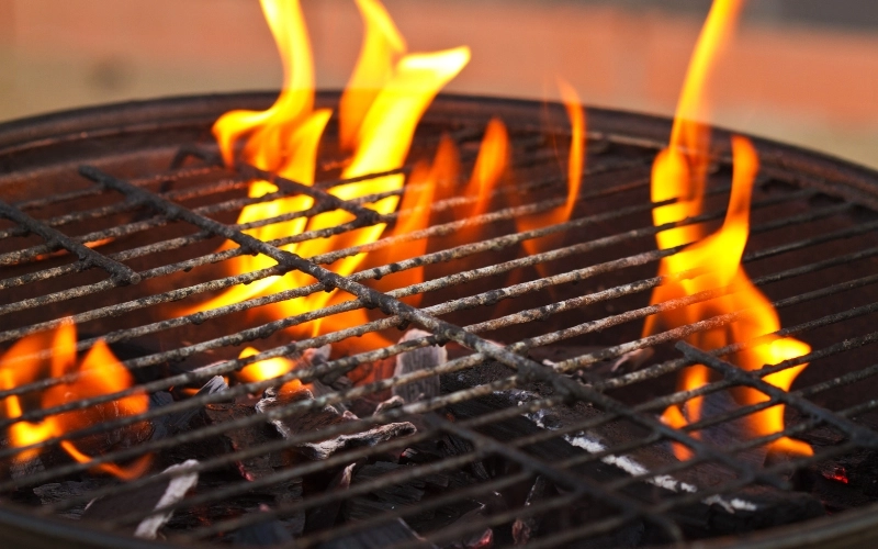 Pit Boss vs Traeger