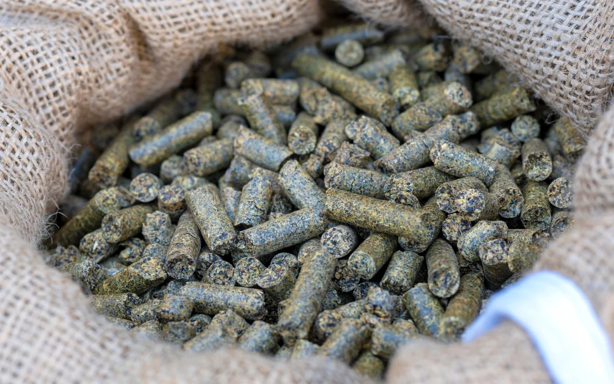 Horse Bedding Pellets