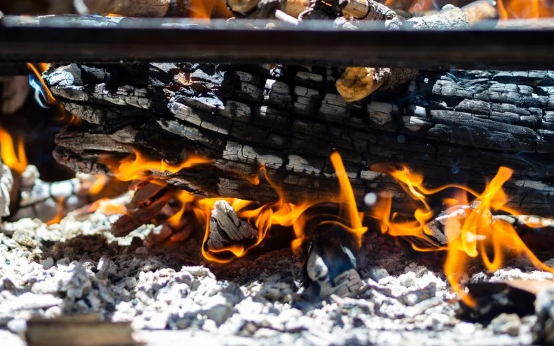 Camp Chef Pellet Grill