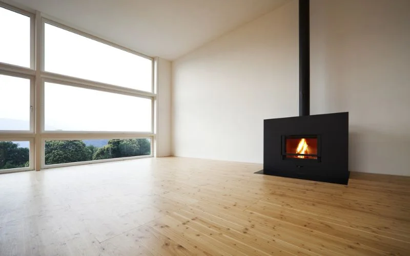 Fire View Wood Stove