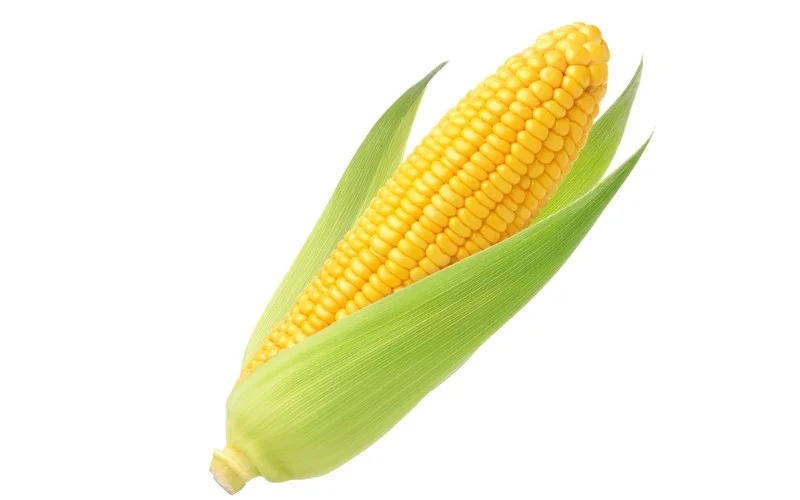 Grilled Corn in Husks: A Perfect Summer Delight